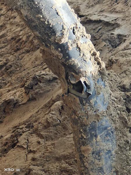 1596687391732583.jpg 微信圖片_20200806121052.jpg