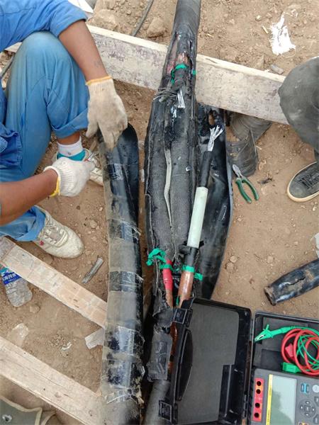 1599010437716501.jpg 1597372101378613.jpg